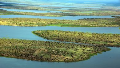 Photo of تغير المناخ تسبب بمصرع 800 شخص بحوض بحيرة تشاد في 5 شهور