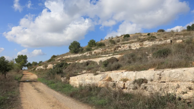 Photo of حالة الطقس: غائم جزئيًا إلى غائم