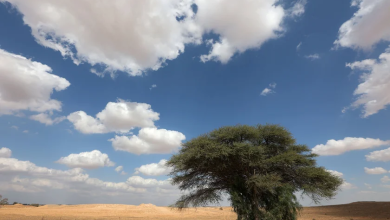 Photo of حالة الطقس: غائم جزئيا إلى غائم وأمطار متفرقة