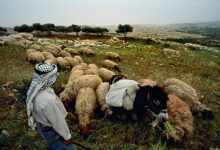 Photo of أجواء متقلبة بين الانخفاض والارتفاع على درجات الحرارة وأمطار متفرقة نهاية الأسبوع