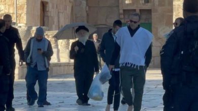 Photo of الرباط في الأقصى وهتافات التكبير.. سلاح المرابطين لإفشال الاقتحامات