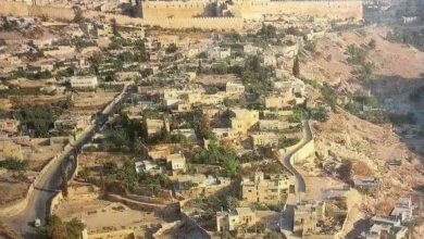 Photo of مستوطنون يستولون على 5 دونمات في وادي حلوة بالقدس