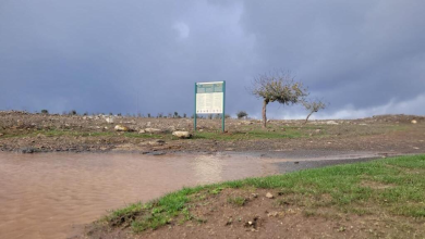 Photo of حالة الطقس: غائم جزئيًا