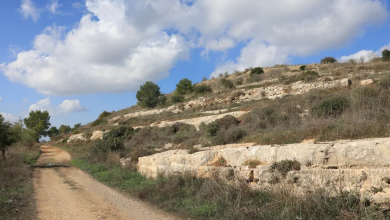 Photo of حالة الطقس: غائم جزئيا إلى صاف