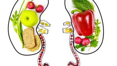 Photo of متوفرة بشكل كبير.. أفضل الأطعمة لصحة الكلى