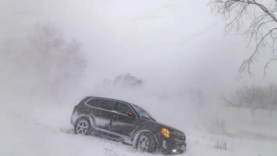 Photo of مع استمرار العاصفة الثلجية.. أميركا تواجه أياما أخرى عصيبة وتكساس تعلن الطوارئ