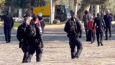 Photo of مستوطنون يقتحمون المسجد الأقصى بحماية قوات الاحتلال