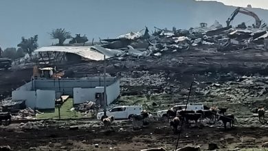 Photo of هدم حظائر ومنشآت زراعية في عكبرة