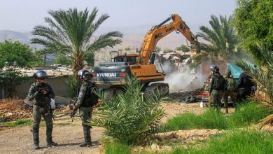 Photo of خلال شهر: المستوطنون أتلفوا 900 شجرة والاحتلال هدم 57 منزلا