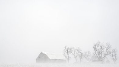 Photo of فوضى وانقطاع كهرباء وإلغاء آلاف الرحلات بسبب عاصفة “تاريخية” بالولايات المتحدة