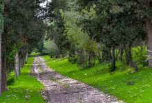 Photo of أجواء باردة وأمطار متوقعة خلال الأيام المقبلة