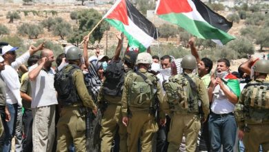 Photo of مركز يرصد 130 نقطة مقاومة و240 اعتداءً من الاحتلال ومستوطنيه