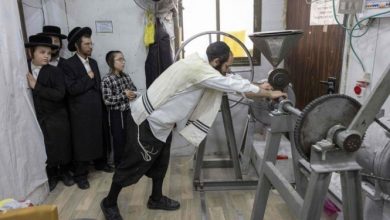 Photo of مشروع قانون إسرائيلي لـ “يهدوت هتوراه” للفصل بين الجنسين في المتنزهات