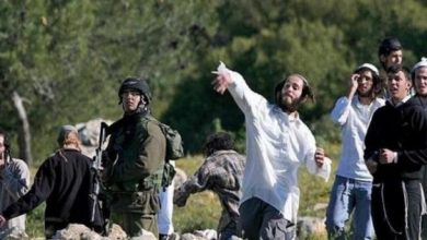 Photo of دعوة لتفعيل لجان الحراسة لحماية المواطنين من هجمات المستوطنين