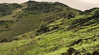 Photo of ظاهرة نادرة.. جبال مكة وظاهرة غريبة.. اكتست بالأخضر ونشطاء ربطوها بهذا الأمر
