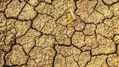 Photo of شبح الجفاف يتربص بتونس