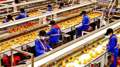 Photo of الاقتصاد الصيني ينمو 3% في 2022 مسجّلًا أدنى مستوياته منذ 40 عامًا