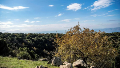 Photo of حالة الطقس: ارتفاع طفيف على درجات الحرارة