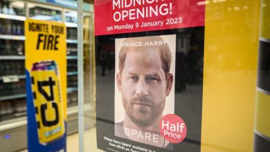 Photo of “مهمة وحشية لتدمير الأسرة الملكية”.. تفاصيل مثيرة بمذكرات الأمير هاري