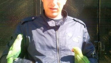 Photo of شهيد وإصابات برصاص الاحتلال في مخيم قلنديا