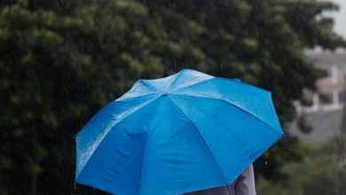 Photo of طقس خريفي مستقر يتبعه منخفض بارد: أمطار متفرقة وانخفاض ملموس على الحرارة