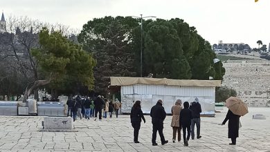 Photo of عشرات المستوطنين يقتحمون باحات الأقصى