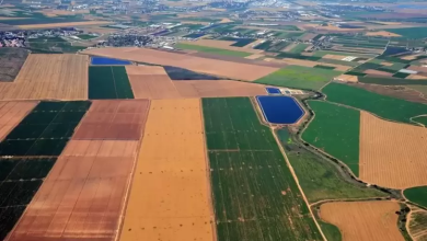 Photo of “حانون” مستوطنة جديدة على حدود قطاع غزة.. هذه تفاصيلها