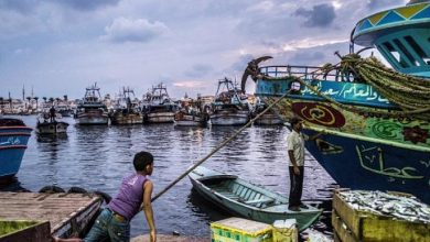 Photo of إطلاق خط تجاري بحري جديد بين مصر وتل أبيب: ربط دمياط بحيفا وأشدود