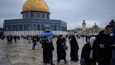 Photo of حالة الطقس: ماطر وبارد في مختلف المناطق