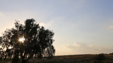 Photo of حالة الطقس: غائم جزئيا واستمرار الأجواء الباردة