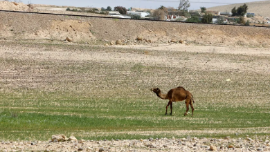 Photo of حالة الطقس: غائم جزئيا وحار أكثر من المعدل لهذا الوقت