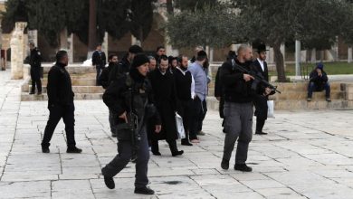 Photo of “علماء فلسطين” تُحذّر من نية الاحتلال إحياء عيد المساخر