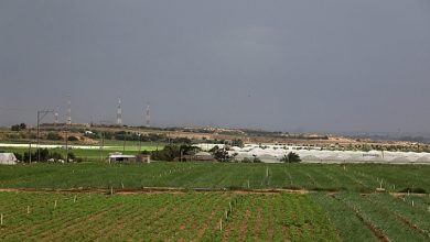 Photo of حالة الطقس: غائم جزئيا وانخفاض في درجات الحرارة