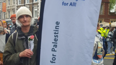 Photo of رئيس “يهود من أجل فلسطين”: الشبكة صوت مناهض للصهيونية
