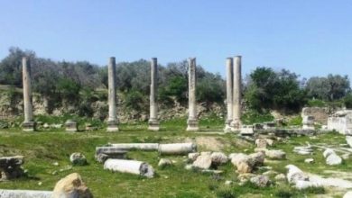 Photo of باحث: تصريحات الاحتلال حول آثار سبسطية هدفها الاستيلاء على الأرض