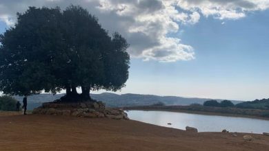 Photo of حالة الطقس: غائم جزئيا وانخفاض طفيف على درجات الحرارة