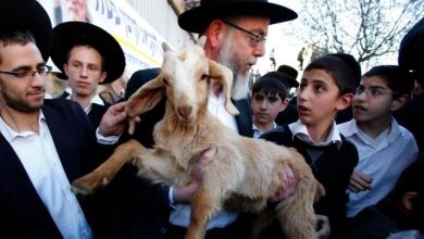 Photo of “حماس” تُحذّر: ذبح القرابين في “الأقصى” يصبُّ الزيت على النار