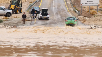 Photo of حالة الطقس: أمطار على فترات وخشية من فيضانات في المناطق الساحلية وسيول في المناطق الجنوبية والشرقية