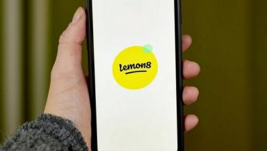 Photo of Lemon8.. تطبيق جديد ينافس إنستغرام