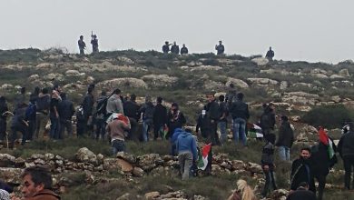 Photo of 27 وزير وعضو “كنيست” يشاركون في تظاهرة تطالب بالعودة لبؤرة “أفيتار”