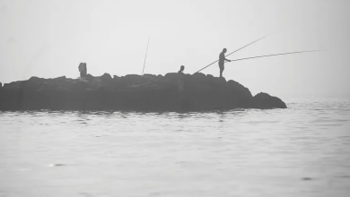 Photo of حالة الطقس: استمرار موجة الحر