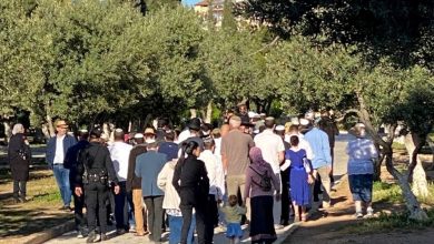 Photo of مستوطنون يقتحمون الأقصى ويؤدون “السجود الملحمي” قرب باب الرحمة