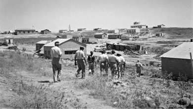 Photo of كاتب إسرائيلي: في انتظار نكبة ثانية بحق الشعب الفلسطيني