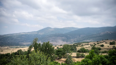 Photo of حالة الطقس: أجواء لطيفة ودرجات الحرارة حول معدلها