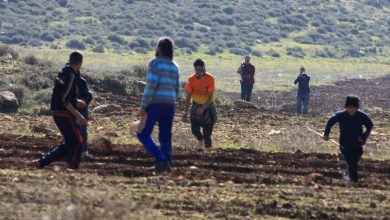 Photo of مستوطنون يهاجمون مزارعين ويمنعوهم من حراثة أراضيهم بنابلس