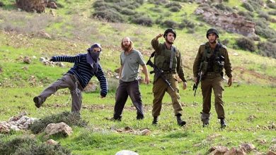 Photo of مستوطنون يعتدون على مزارعين بنابلس والاحتلال يُجرف مشتلا في حزما