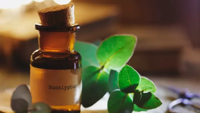 Photo of لمنع لدغات البعوض.. تناول هذه الأعشاب والتوابل!