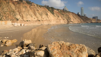 Photo of حالة الطقس: استمرار موجة الحر مع انخفاض طفيف على درجات الحرارة