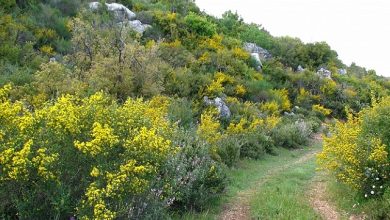 Photo of حالة الطقس: حار أكثر بقليل من المعدل
