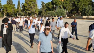 Photo of مستوطنون يقتحمون “الأقصى” بحماية مشددة من شرطة الاحتلال